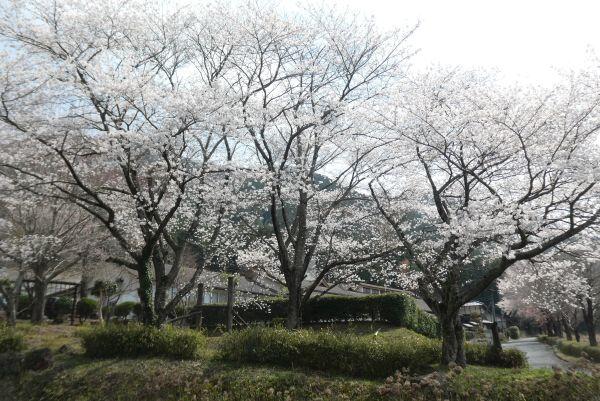 230330多可青雲の家.jpg