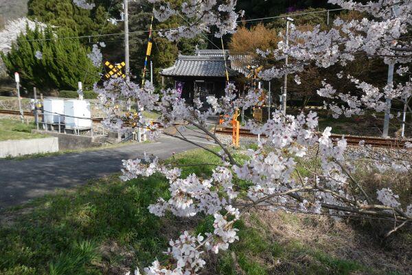 230329犬次神社 (1).jpg