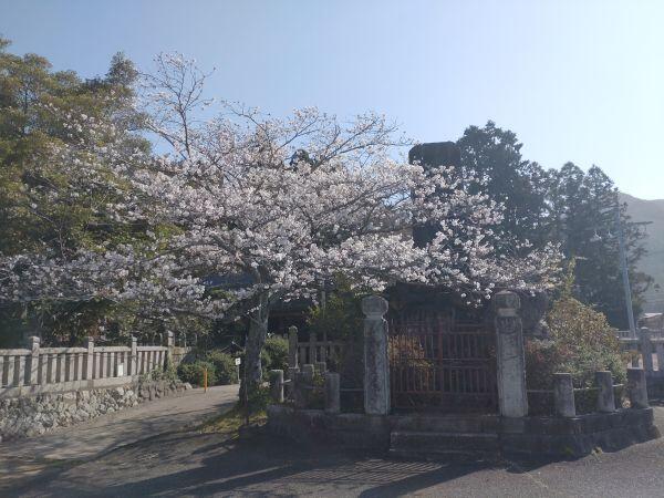 230309兵主神社.jpg