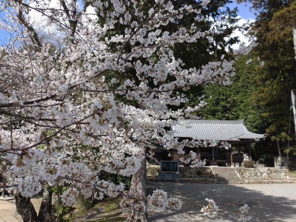 230328安田稲荷神社.jpg