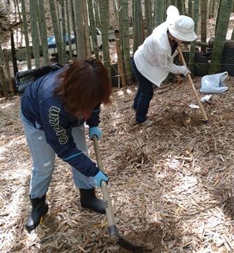 428タケノコ掘り体験 (3).JPG