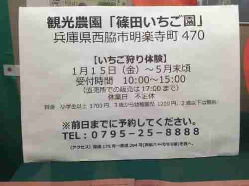 １月ショーケース展示  観光農園 篠田いちご園