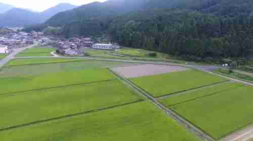 多可町加美区観音寺　(菜の花エコプロジェクト)　空撮