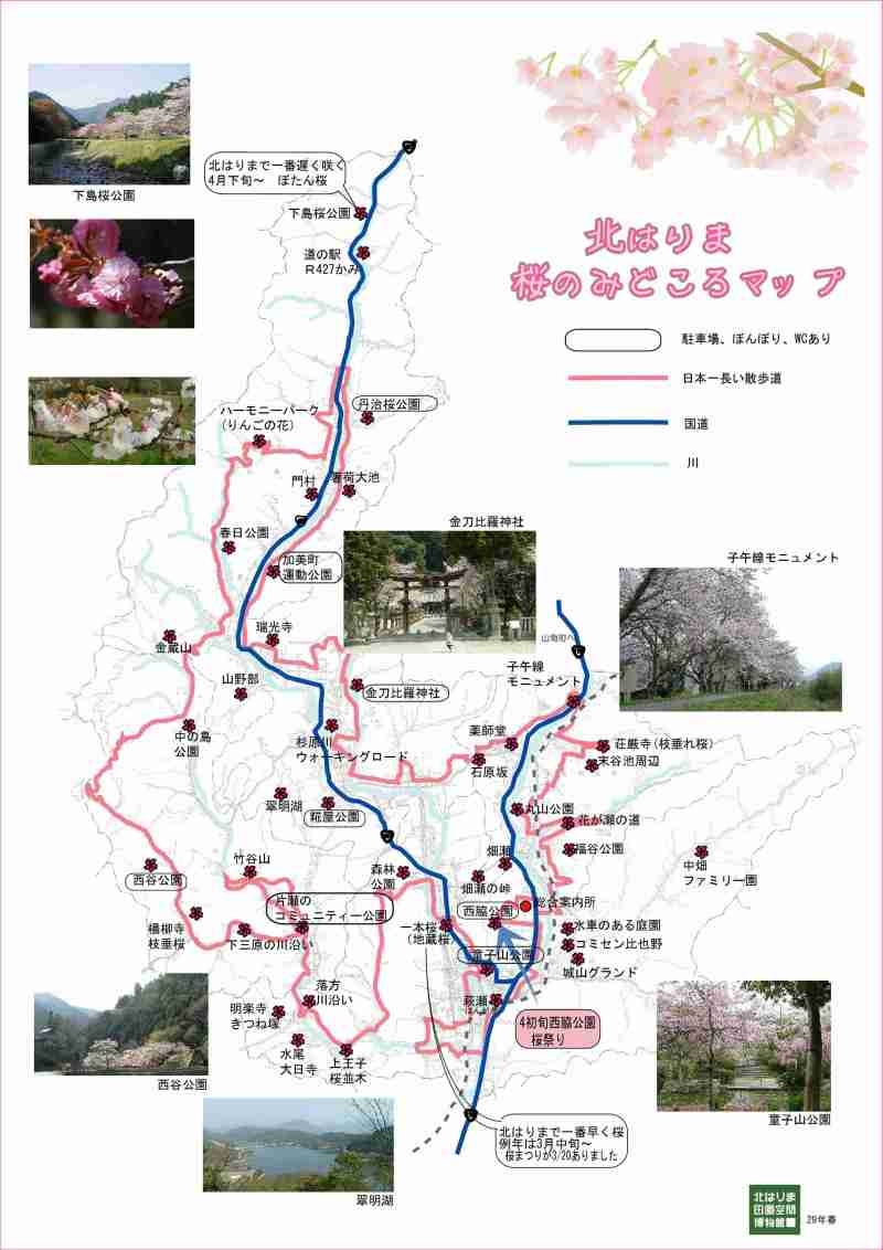 北はりまの桜の見どころ