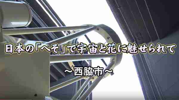 2017年6月25日放送 「ひょうごワイワイ」ふるさと新発見：テラ･ドーム　西林寺