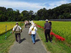 こみせん比也野～上比延住吉神社.JPG