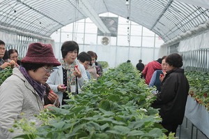 IMG_4987.jpg