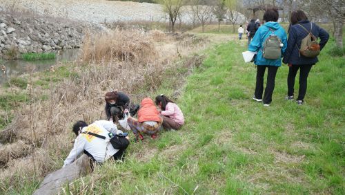 190323　【レポート】明石発バスツアー「いちご狩りと多可町健康ウォーキング」