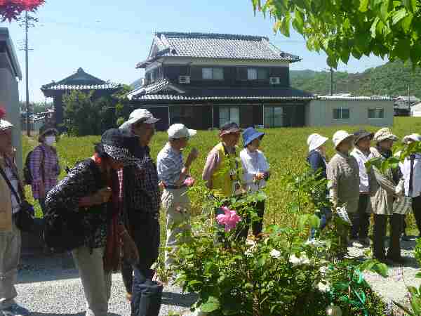 190511　【レポート】散歩道「初夏の爽やかな青空もと、日本一長い散歩道（中区）をウオークしよう」