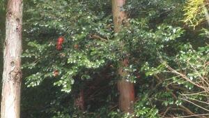 IMG_20200303_113005.jpg