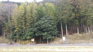 IMG_20200303_113157.jpg