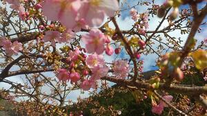 IMG_20200303_142457.jpg