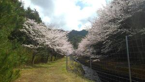 末谷池周辺（藤原笙撮影）.jpg