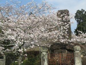 200403兵主神社.jpg