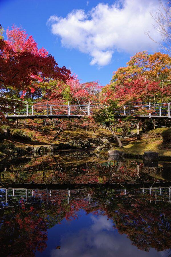 多可町余暇村公園の紅葉が始まりました