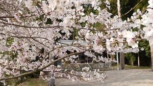 安田稲荷神社.jpg