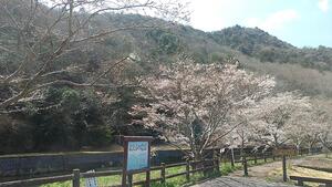 IMG_20210324_113301.jpg