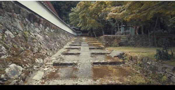 【動画】　新緑の「荘厳寺散策」本堂・多宝塔への参道