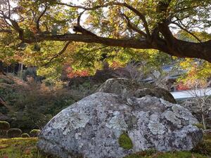 211110西光寺（加美区）.JPG