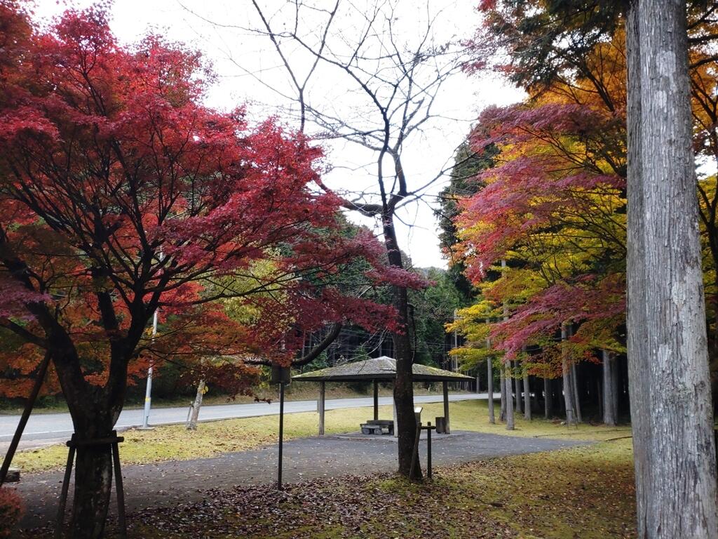 北はりまの紅葉①