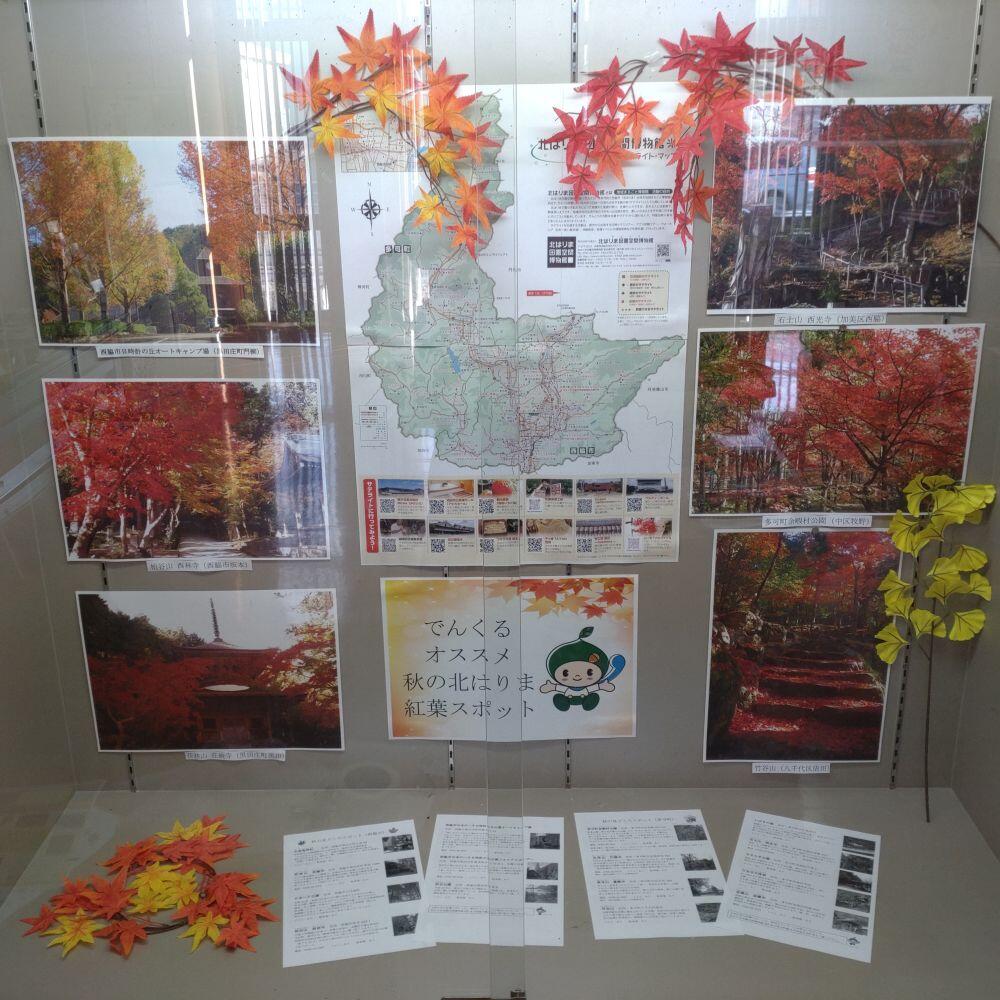 11月のショーケース展示：秋の北はりま紅葉スポット