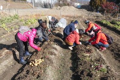 210115　【レポート】体験教室：野菜収穫体験