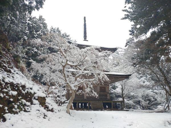 雪の荘厳寺