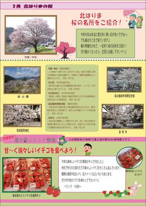 206-2 北はりまの桜.jpg