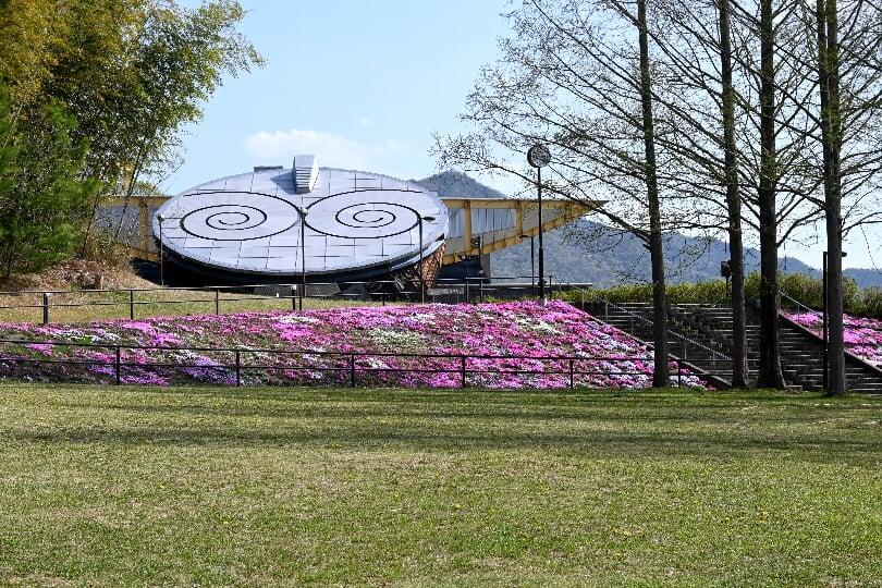 日本へそ公園の芝桜