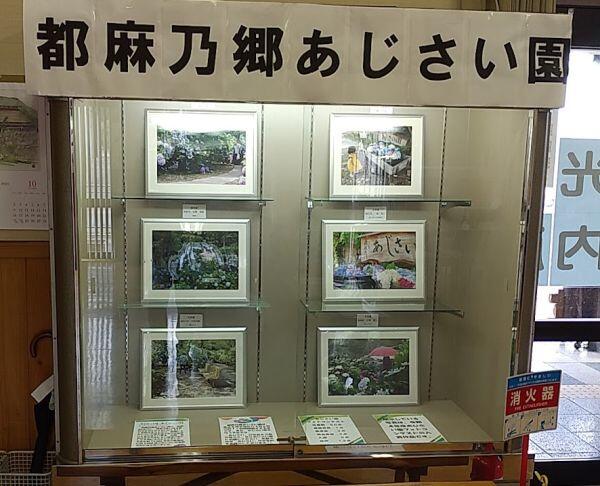 10月のショーケース展示：都麻乃郷あじさい園(西林寺)