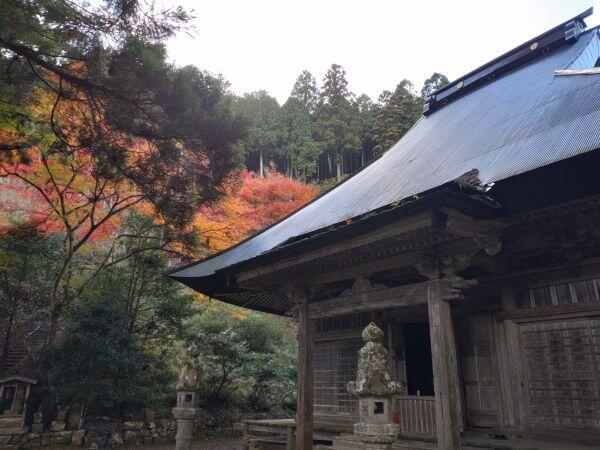 紅葉情報⑨毘沙門公園