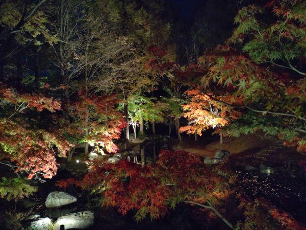 紅葉情報①　多可町余暇村公園