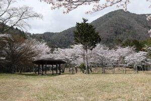 230327東山古墳群（那珂ふれあい館）.jpg