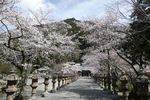 230327大歳金刀比羅神社（1）.jpg