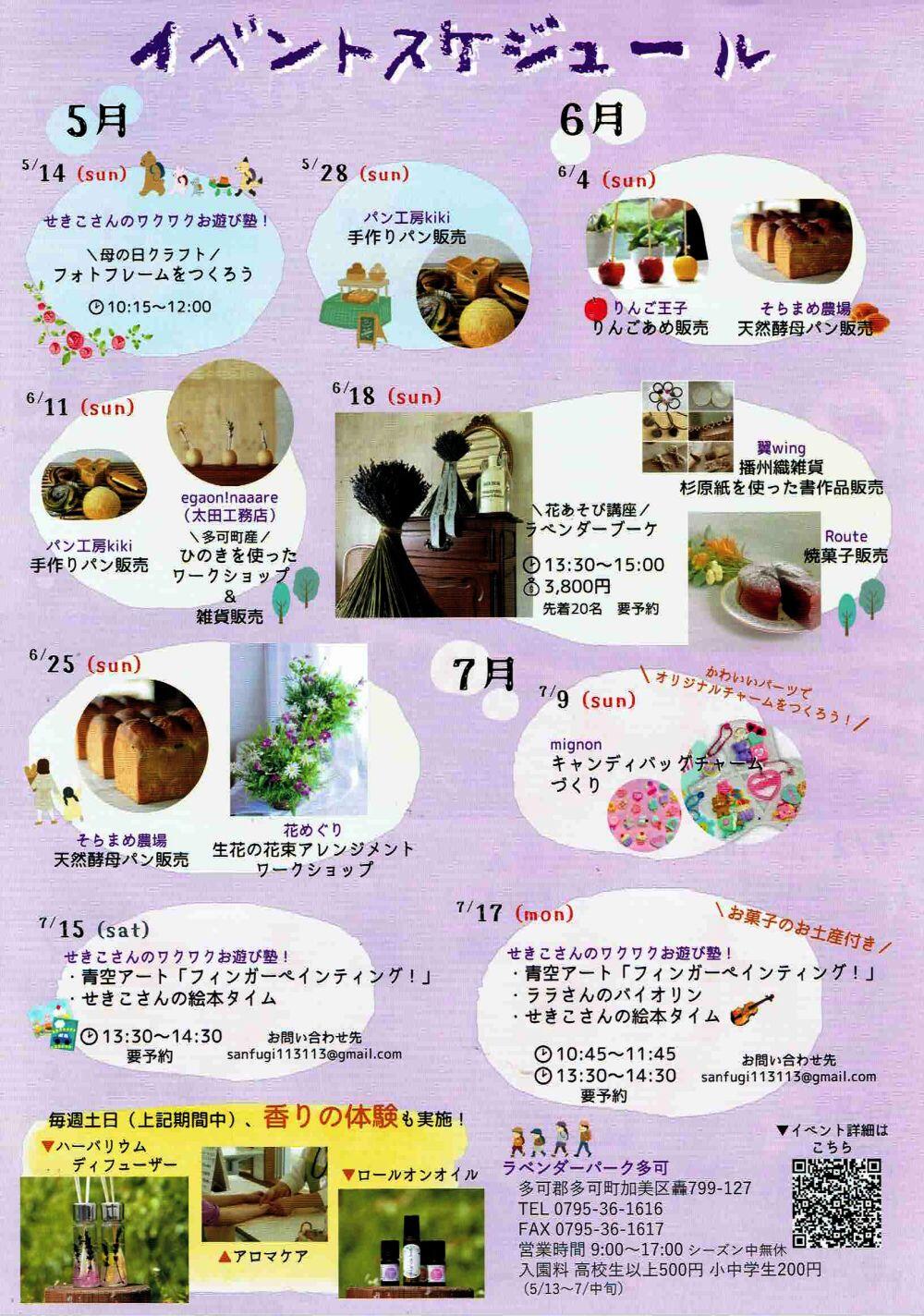 ラベンダーシーズン到来：ラベンダーパーク多可