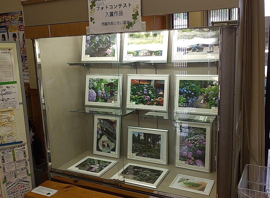 10月のショーケース展示：都麻乃郷あじさい園(西林寺)