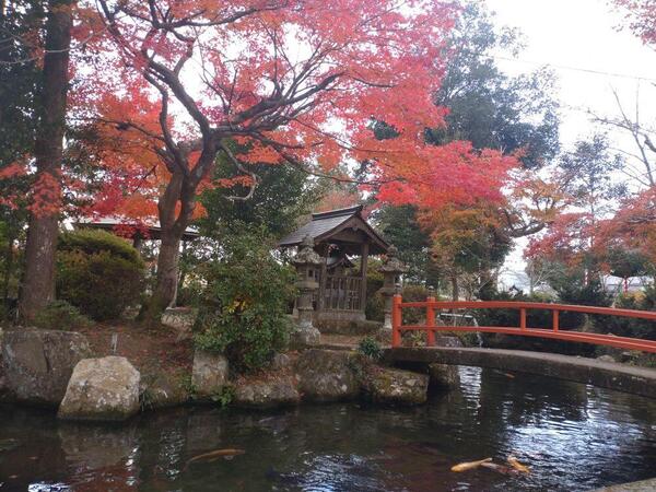 231124大歳金刀比羅神社 (1).jpg