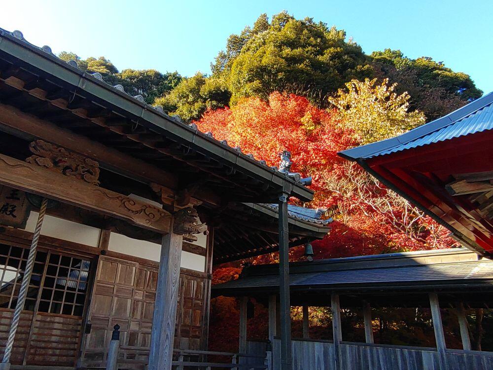 北はりまの紅葉④多可町中区