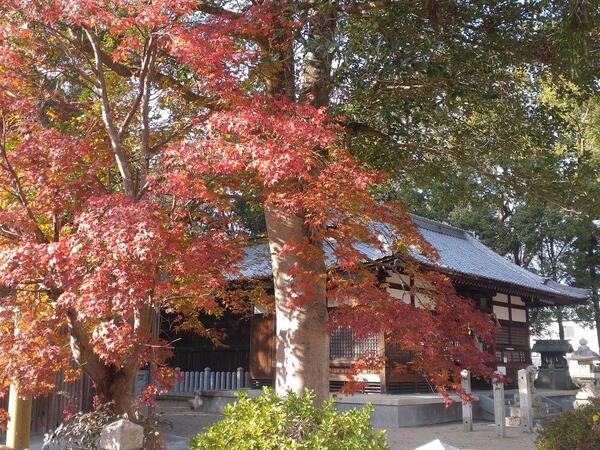 231123式内大津神社.jpg