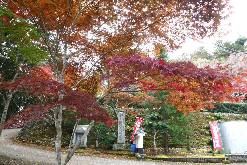 北はりまの紅葉③多可町加美区