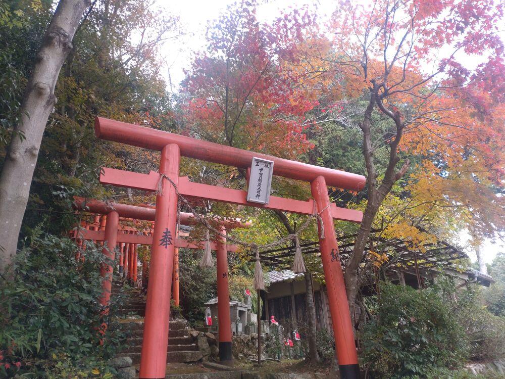 北はりまの紅葉⑥西脇市