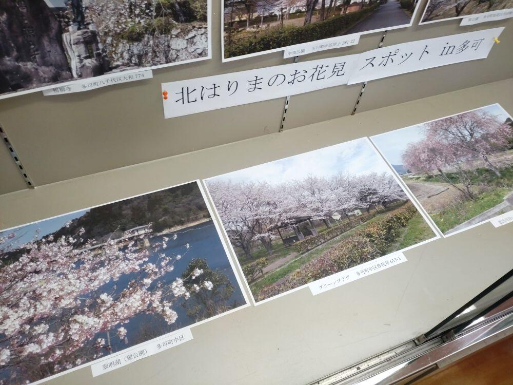 3月のショーケース展示⓶　多可町のおススメ桜スポット