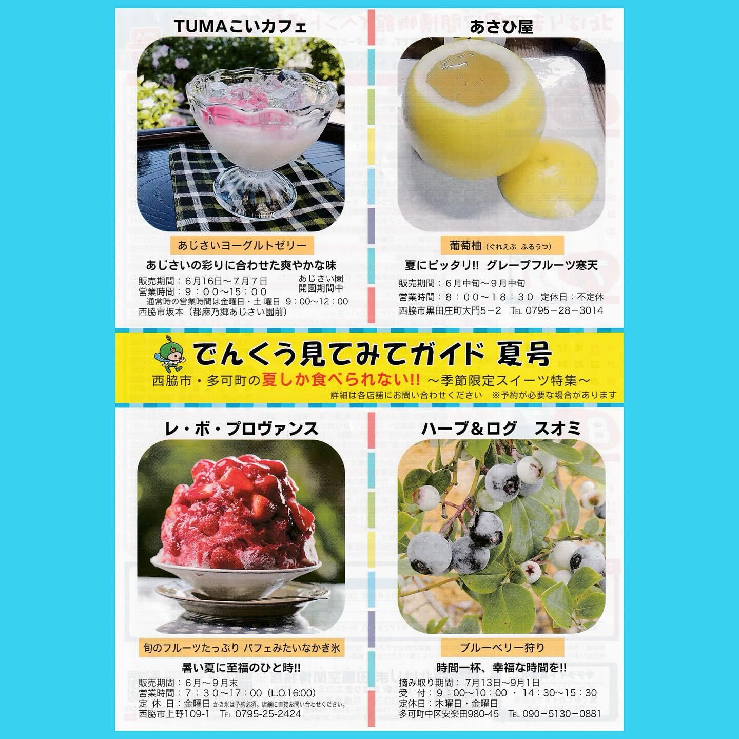 夏の見てみてガイド＆イベントカレンダー