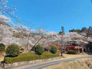 250406福谷公園.jpg