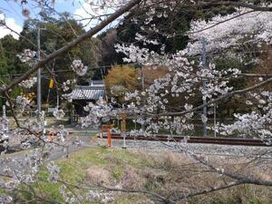 250407犬次神社 (1).jpg