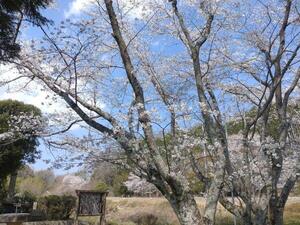250407日本へそ公園 (2).jpg