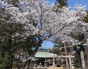 250407古奈為神社.jpg