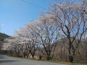 2560407いぶきの森.jpg