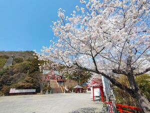 250406成田山.jpg