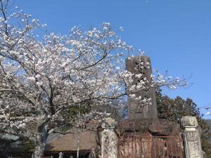 2560406兵主神社.jpg
